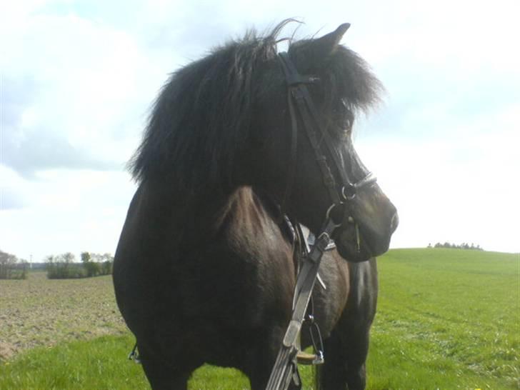 Anden særlig race Molly - På tur :) billede 6