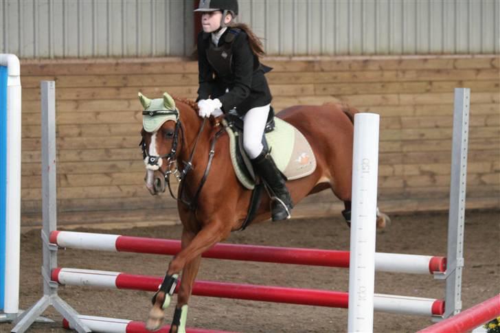 Anden særlig race Destiny *Gammel part* - LC klasse x) billede 18