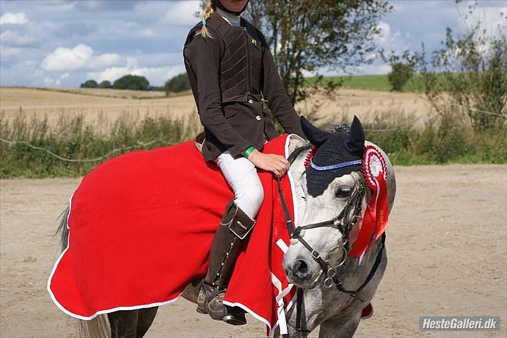 Anden særlig race Black Star - B pony<3 - <3 billede 3