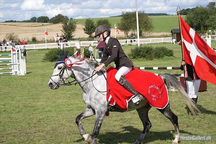 Anden særlig race Black Star - B pony<3 - distriktsmestrer 2010 billede 4