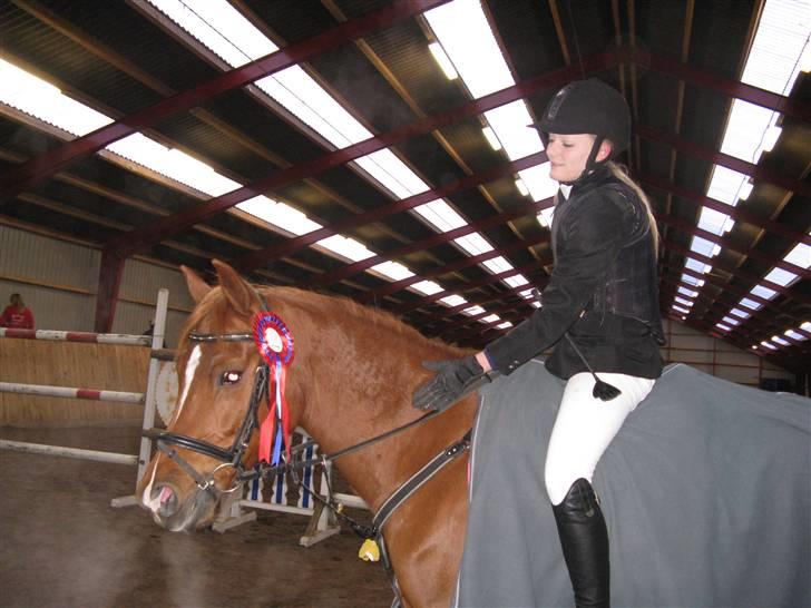 Hollandsk Sportspony Bauke - aflivet s': -  efter aller første klasse vi har redet sammen, LE. fejlfrie - så stolt! billede 18