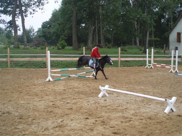 Anden særlig race Peanuts billede 1