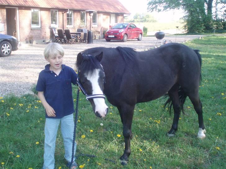 Anden særlig race Peanuts billede 4