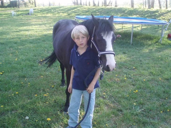 Anden særlig race Peanuts billede 5