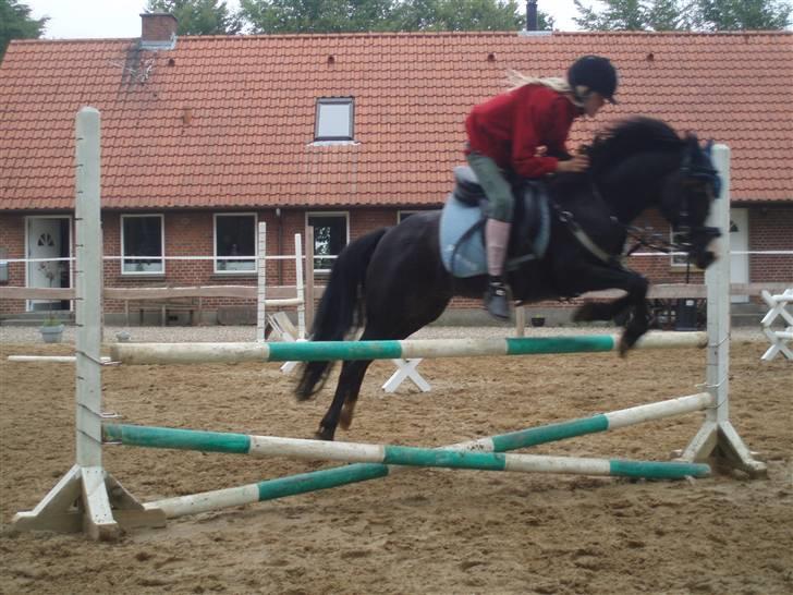 Anden særlig race Peanuts billede 6