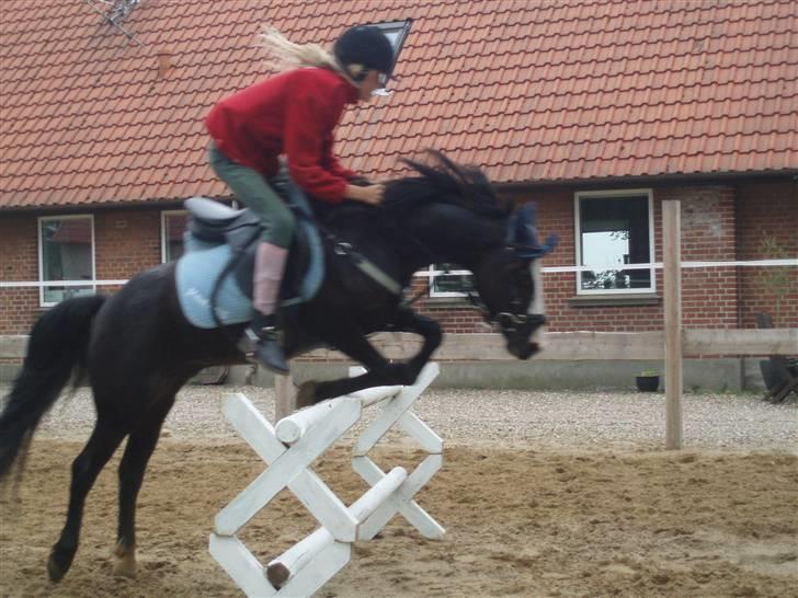 Anden særlig race Peanuts billede 7