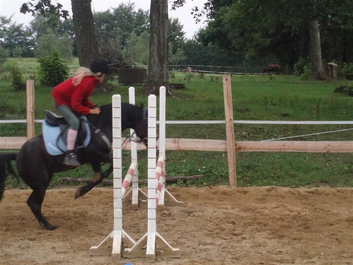 Anden særlig race Peanuts billede 9