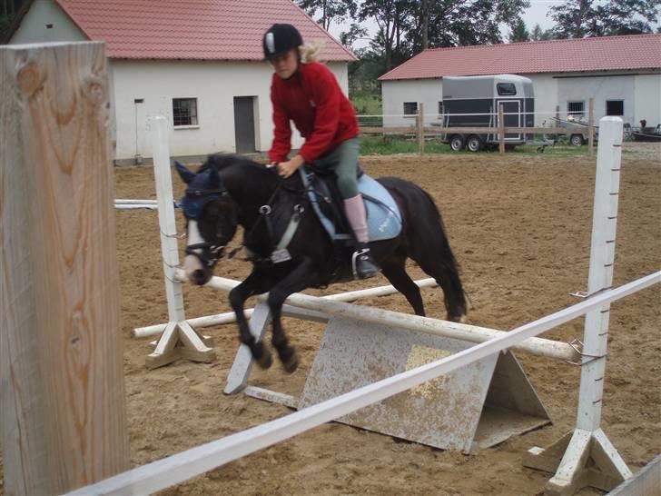 Anden særlig race Peanuts billede 12