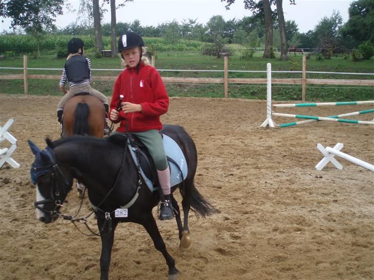 Anden særlig race Peanuts billede 13