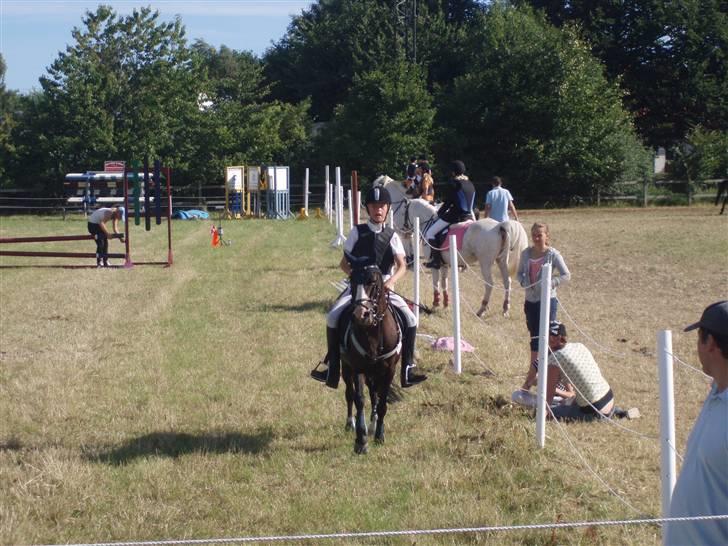 Anden særlig race Peanuts billede 14
