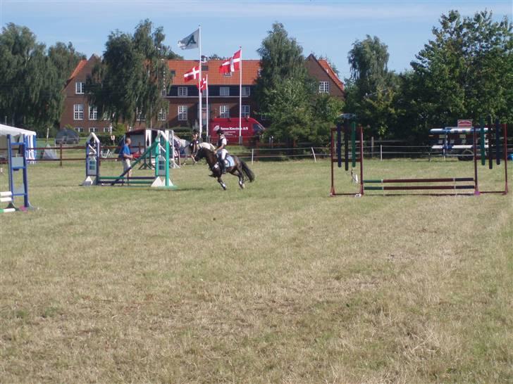 Anden særlig race Peanuts billede 16