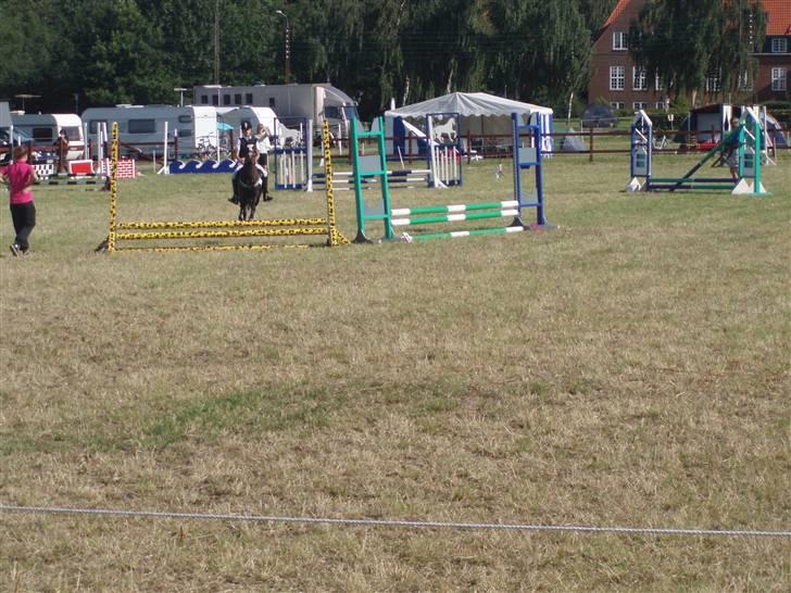 Anden særlig race Peanuts billede 17