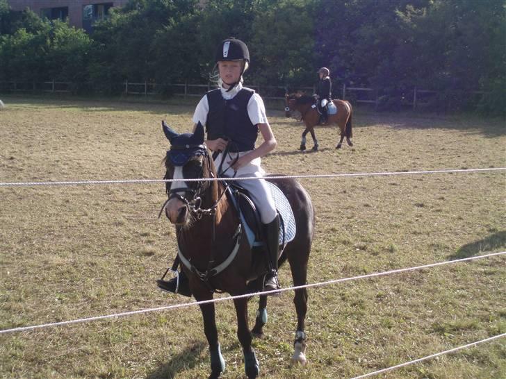 Anden særlig race Peanuts billede 20