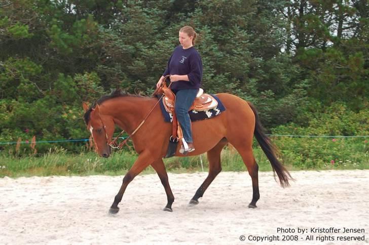 Quarter Super Smooth Beauty - Beauty sommer 2008 billede 15