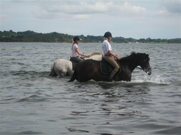 Connemara  | Bigge Aislinn billede 1