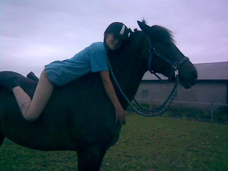 Connemara  | Bigge Aislinn billede 2