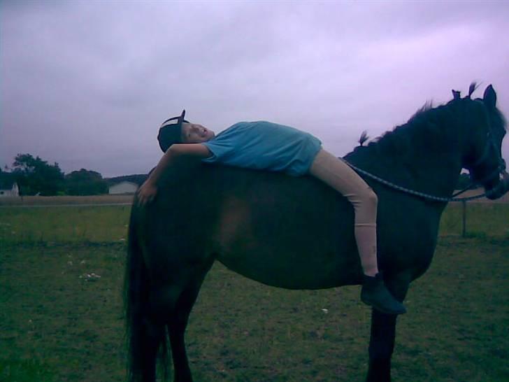 Connemara  | Bigge Aislinn billede 3