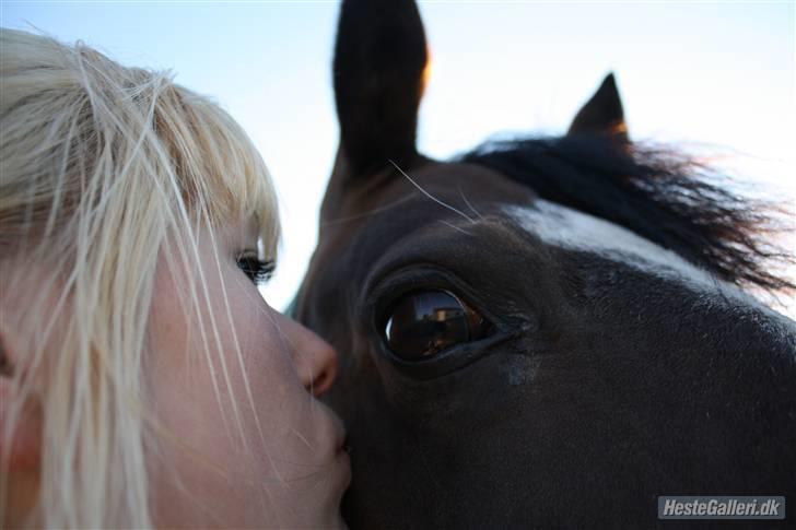 Connemara Mosegårdens Geena| - Model "kysse billede" D. 13.06.09, Foto : Mig [; billede 13