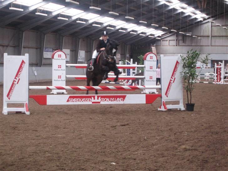 Connemara  | Bigge Aislinn billede 7