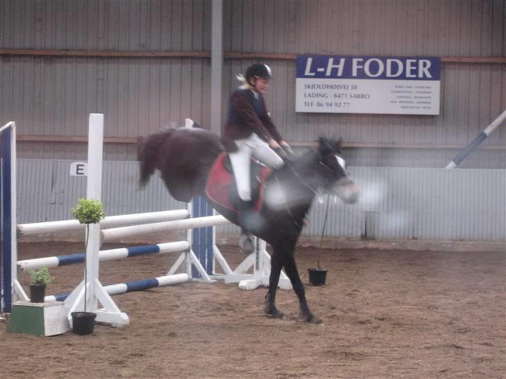 Connemara  | Bigge Aislinn billede 8