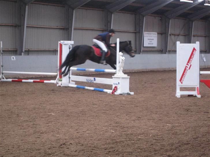 Connemara  | Bigge Aislinn billede 9