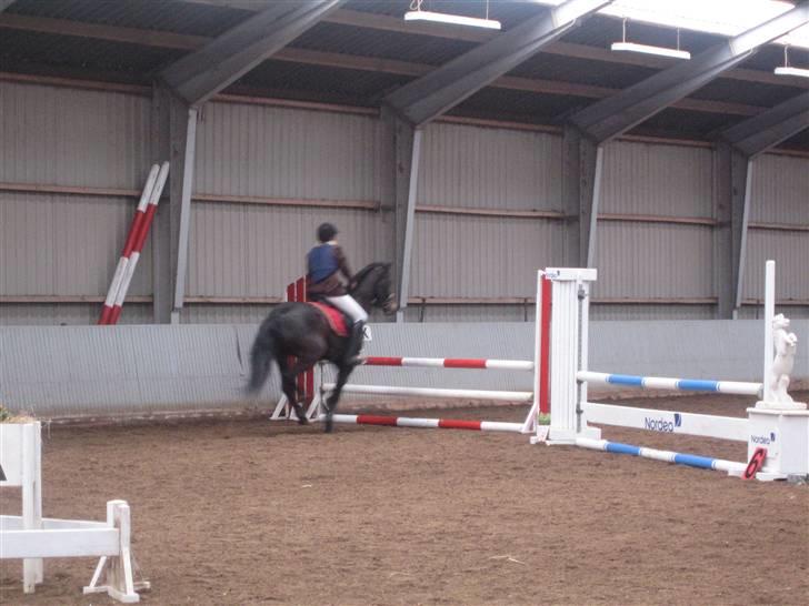 Connemara  | Bigge Aislinn billede 10