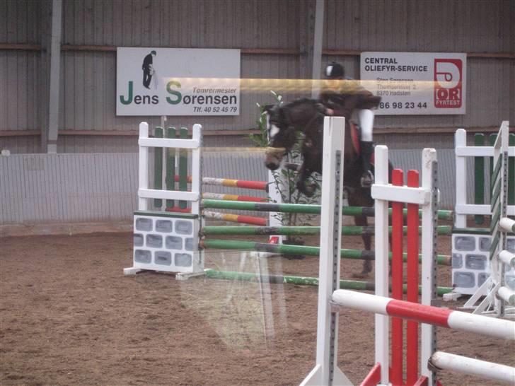 Connemara  | Bigge Aislinn billede 11