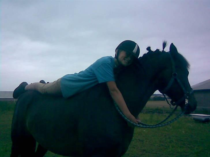 Connemara  | Bigge Aislinn billede 12