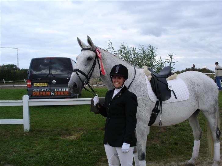 Dansk Varmblod Aglaia (R.I.P  2011) billede 14