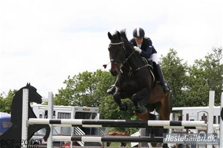 Oldenborg O'malley  - Velkommen til O´malleys profil. stævne på AGR lb og la.Taget af clara chop billede 1