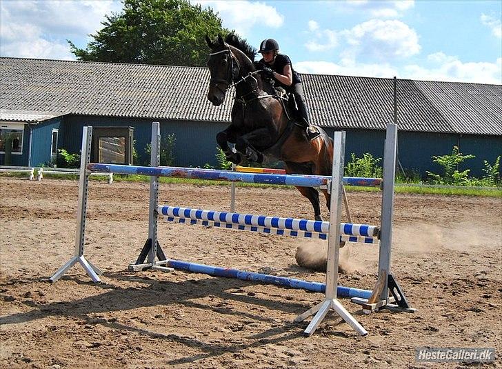 Oldenborg O'malley  - Spring undervisning på anderup. v. Morten Grøftehauge. Foto: Stephanie Hardy  billede 4