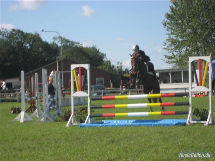 Tysk Sportspony Gipsy  - LA i Bording billede 16