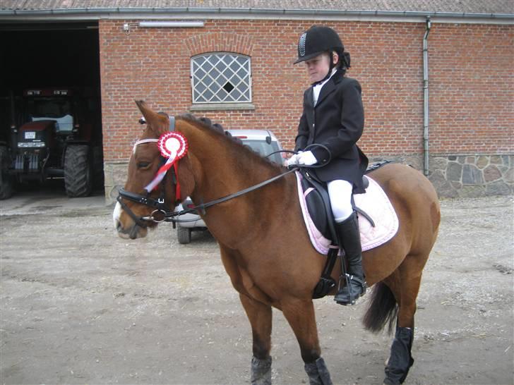 Welsh Pony (sec B) Monique  -  2009: Vores første stævne i LC1 i Stillinge. Vi fik en førsteplads billede 1