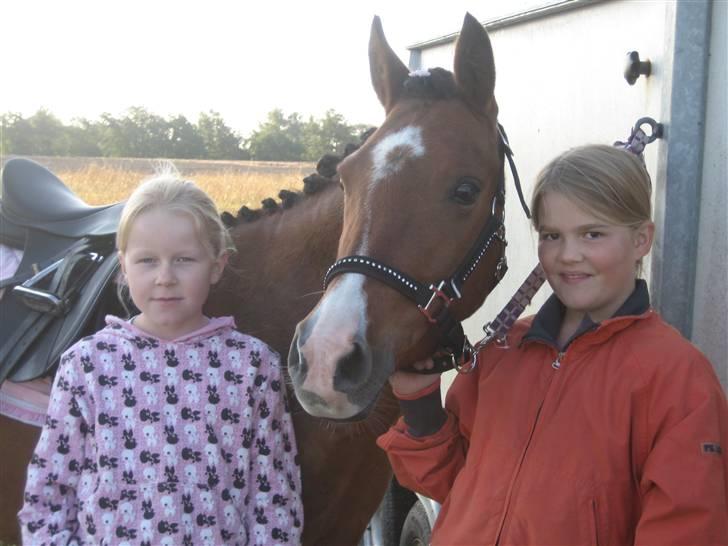 Welsh Pony (sec B) Monique  - Lærke og Cille har gjort mono klar til Stævne i Fuglebjerg sommer 2009 billede 5