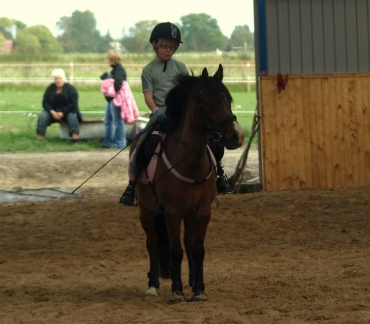 Welsh Pony (sec B) Monique  - jeg er næste lige få hende der. jeg var 9 år. billede 6