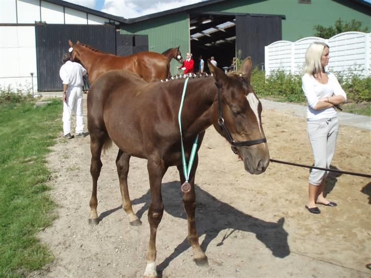 Oldenborg Sari Vestermølle,(solgt) - MiinPige uhh du er så dejlig billede 7