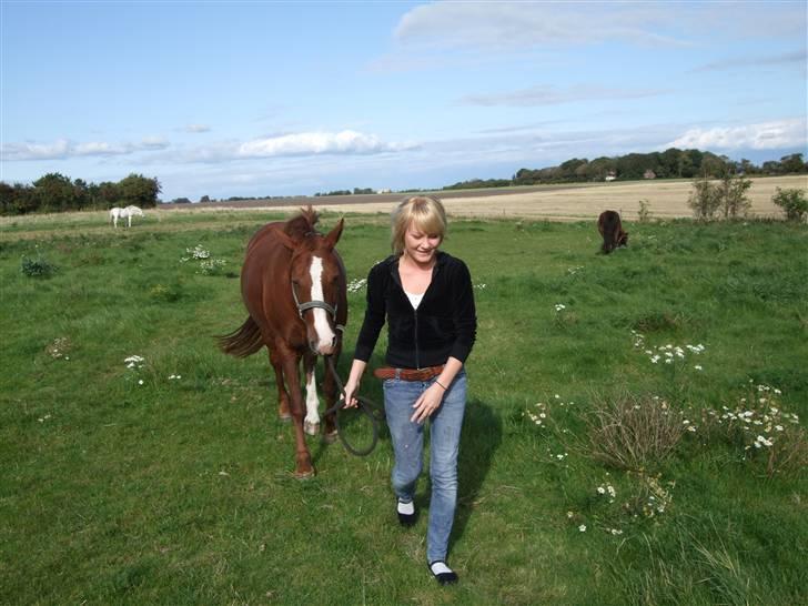 Anden særlig race Enggårdens Linea billede 2