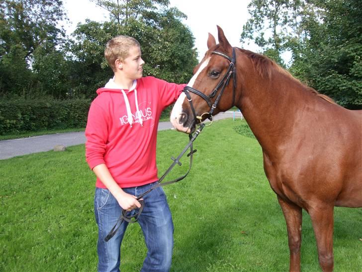 Anden særlig race Enggårdens Linea billede 7