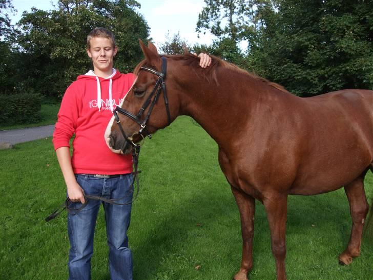 Anden særlig race Enggårdens Linea billede 8