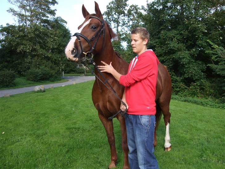 Anden særlig race Enggårdens Linea billede 10