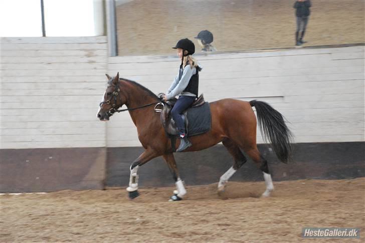 Anden særlig race Diana - mig & Diana<3 foto:Camilla billede 8