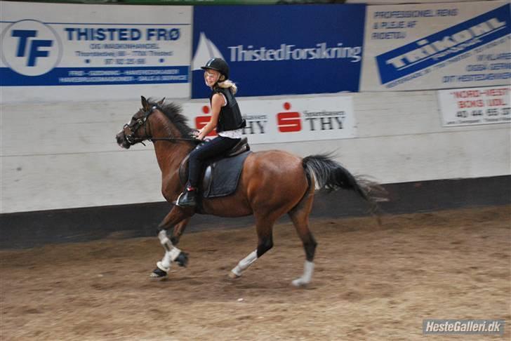 Anden særlig race Diana billede 13