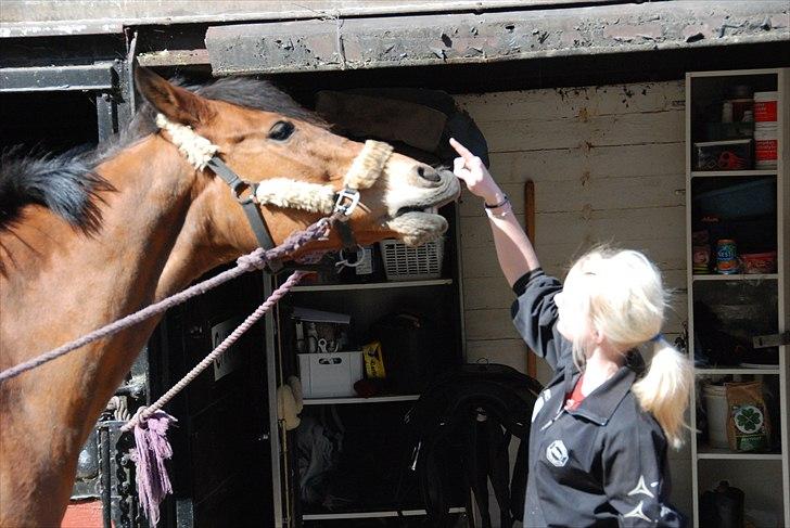 Anden særlig race Chateâu - [Julie] - Smiiiiil på kommando :D April 2011. billede 8