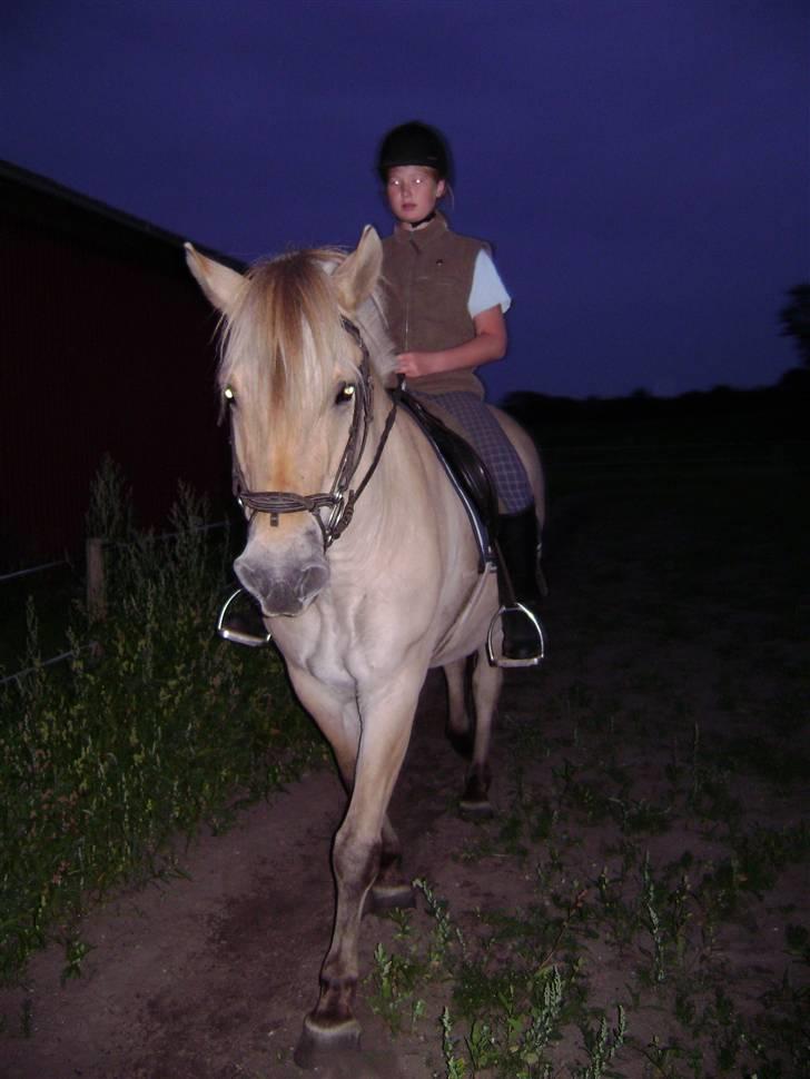 Fjordhest Rasmus    ¤død¤ - mig og den skønne billede 13