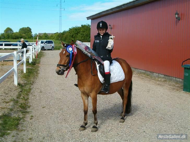 Anden særlig race Jasmin :) - Jasmin & Sofie ELEVMESTRE - Smukke piger 8D billede 6