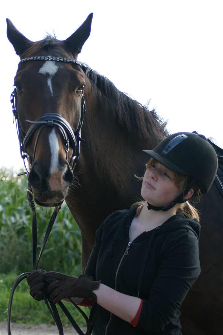 Hollandsk Varmblod Theunis *Nisse* - mig og nissen! elsker dig din store dreng! d. 13. sep. 09 Foto:Pernille, min mutte! <33 billede 4