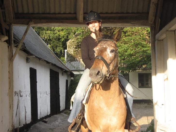 Appaloosa Inschalah billede 5