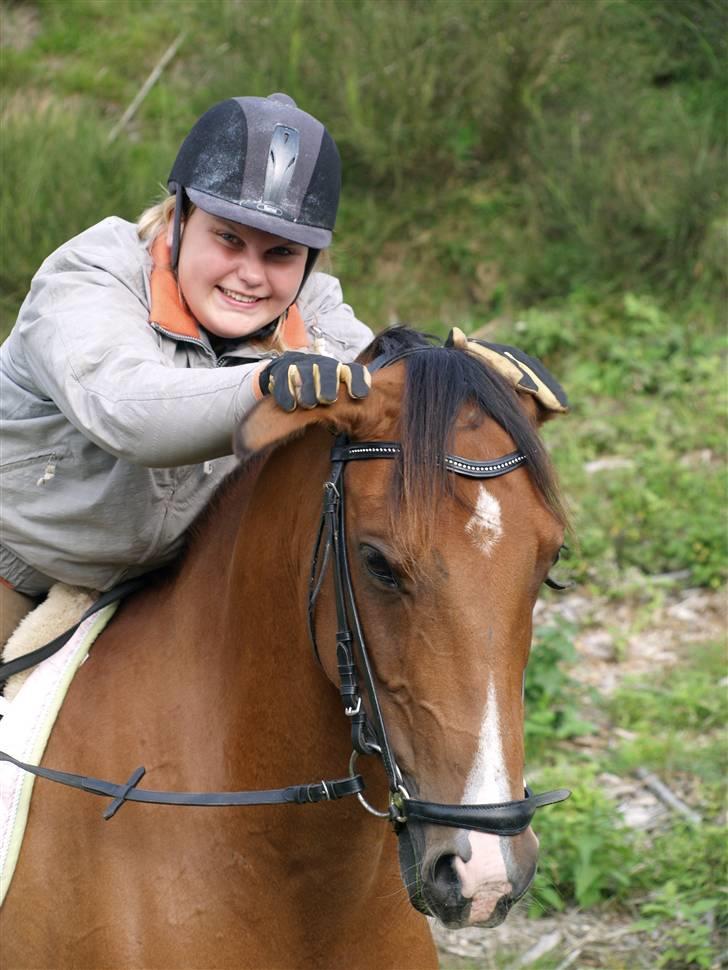 Anden særlig race Prins Preben RIP - hænge øre billede 20