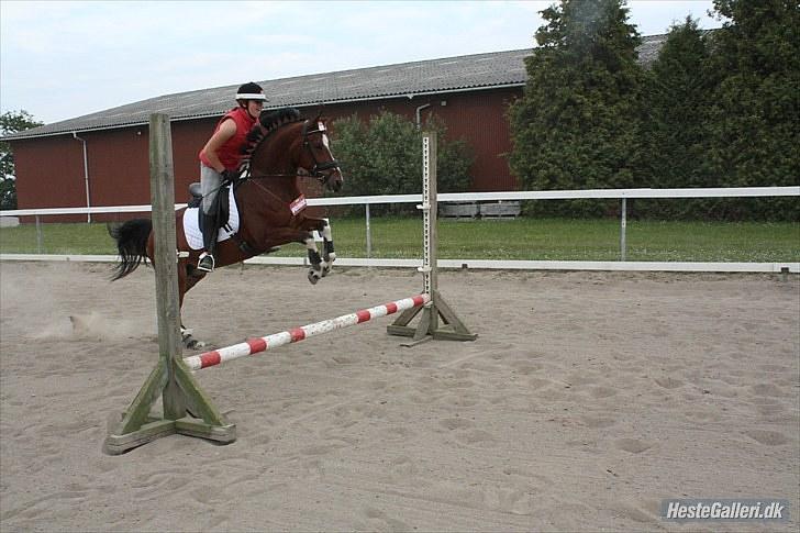 Anden særlig race sartor's robbin *b-pony* - Robbin til kostume spring på STBR ridelejer, 2010:D vi var en pakke cigeratter:D Snob synes ikke, at springet var højt nok, så han sprang lidt højre over end han skulle:P foto: Louise (med Julie willems kamera) billede 6