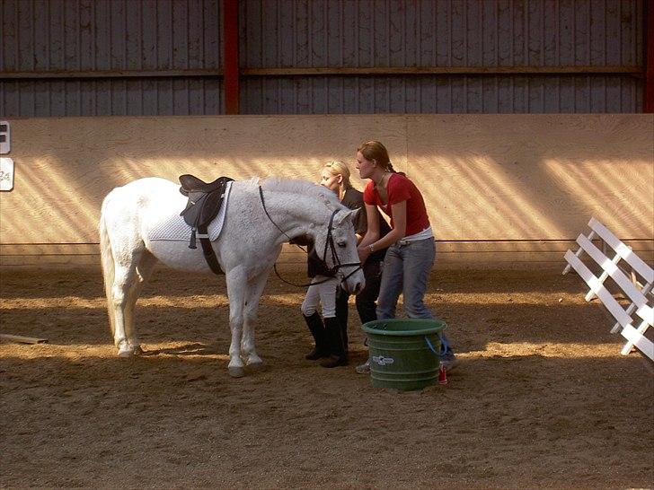 Anden særlig race † Fillur † *Alting* <3 - mit første stævne på dig... ponygames tiden var 1 min 6 sekunder.... Fille jeg elsker dig  billede 4